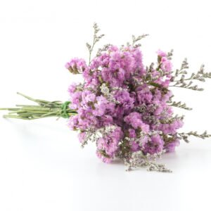 Lavender Whisper